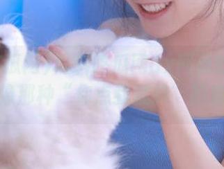 黑料吃瓜网ax网页的小程序，就像那种“你点我就转”的魔力。