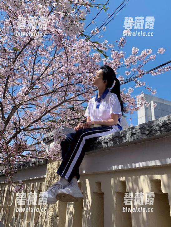 别说我没提醒，黑料正能量的首页入口简直是看点满满的“流量大咖”！