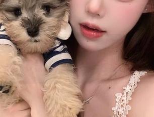 那条隐秘入口可真值得一探，x20黑料正能量窜隐于此！